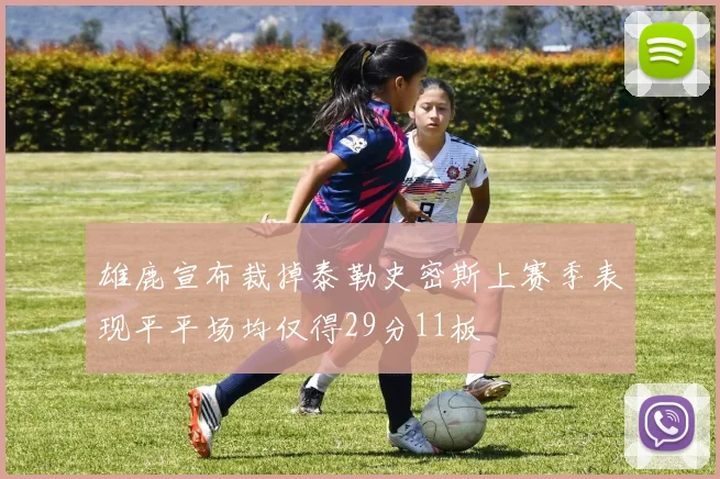 雄鹿宣布裁掉泰勒史密斯上赛季表现平平场均仅得29分11板