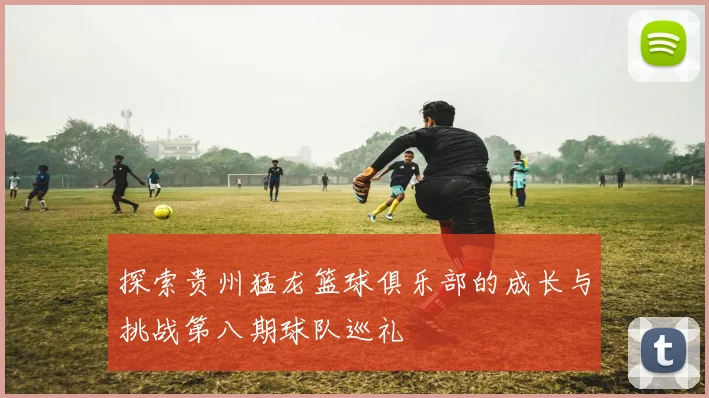 探索贵州猛龙篮球俱乐部的成长与挑战第八期球队巡礼