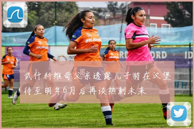 武什科维奇父亲透露儿子将在汉堡待至明年6月后再谈热刺未来