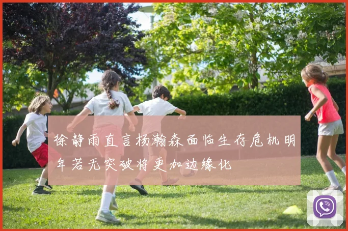 徐静雨直言杨瀚森面临生存危机明年若无突破将更加边缘化