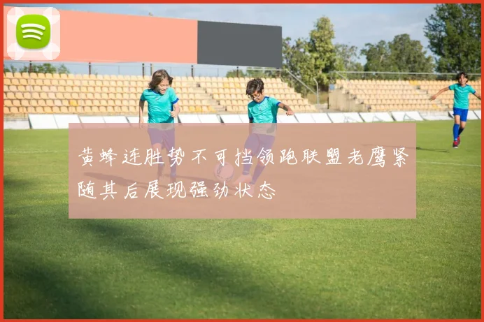 黄蜂连胜势不可挡领跑联盟老鹰紧随其后展现强劲状态