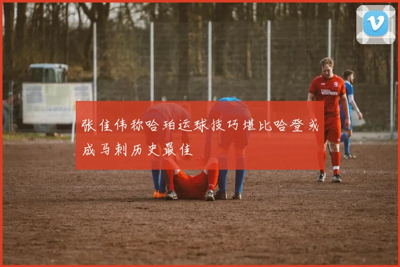 张佳伟称哈珀运球技巧堪比哈登或成马刺历史最佳