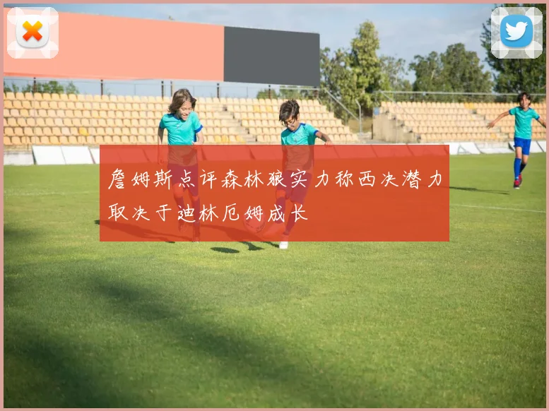 詹姆斯点评森林狼实力称西决潜力取决于迪林厄姆成长