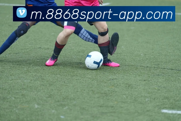 8868体育服务体系